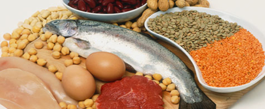 ۱۶ منبع پروتئینی کامل و با کیفیت که میتوانید از آنها استفاده کنید