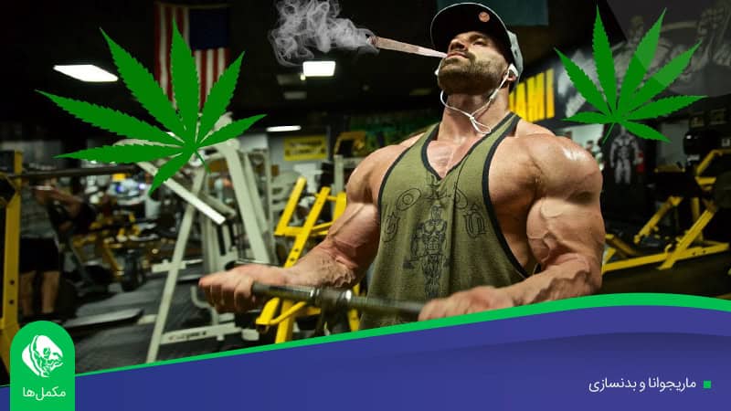 ماریجوانا و بدنسازی