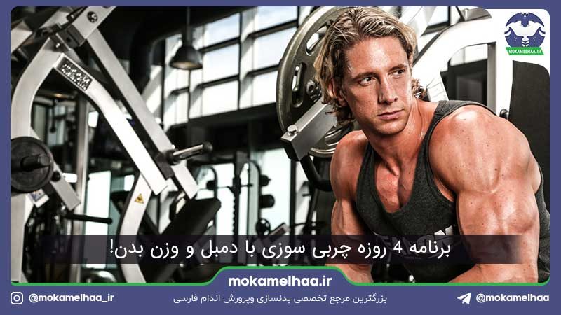 برنامه چربی سوزی سریع