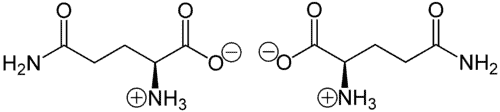 گلوتامین عکس گلوتامین