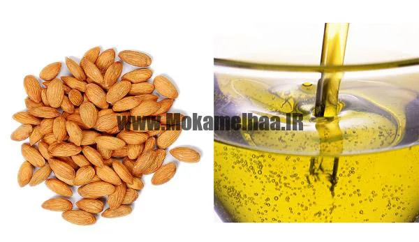 خواص روغن های گیاهی و رابطه آن با بدنسازی,انواع روغن های گیاهی,روغن در پروش اندام,روغن فندق,روغن بادام,روغن زیتون و بدنسازی,نقش روغن در بدنسازی,روغن بادام شیرین,روغن بادام تلخ,روغن پسته,روغن سیاهدانه,روغن گردو, روغن جوانه گندم,روغن کرچک,بدنسازی و روغن