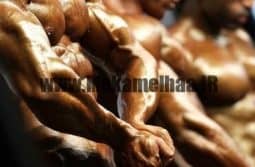 رقابتهای قهرمانی آزاد فیزیک کشور ۱۷ بهمن برگزار می شود رقابتهای قهرمانی آزاد فیزیک کشور ۱۷ بهمن برگزار می شود