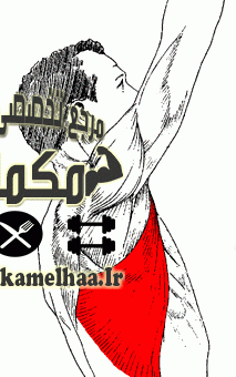 آموزش تزریق استروئید در عضلات آموزش تزریق استروئید در عضلات