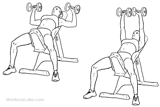 Incline Dumbbell Press1