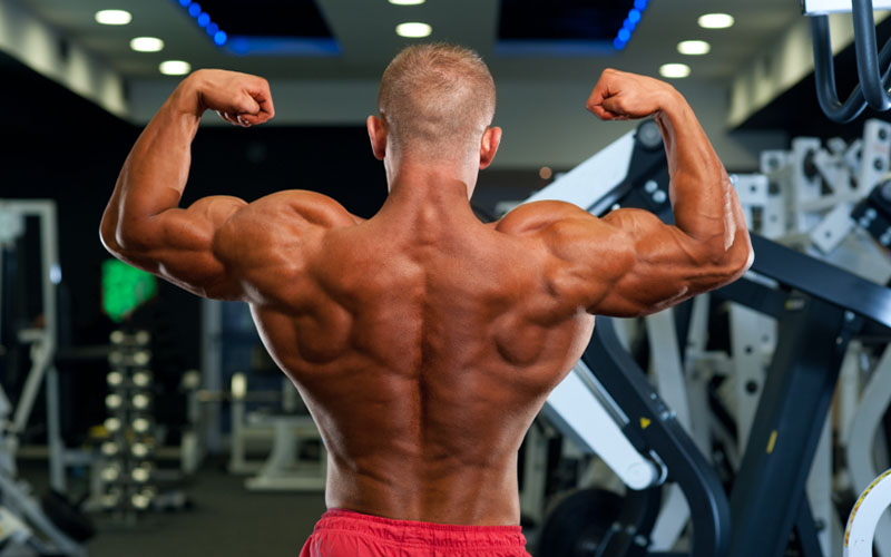 Supersets To Build Back Muscles