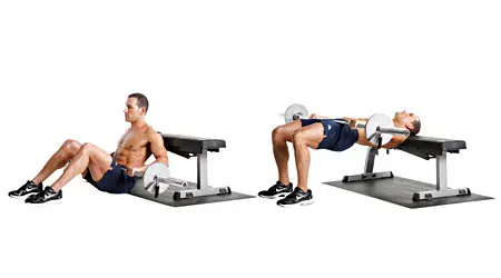 barbell hip thrust1