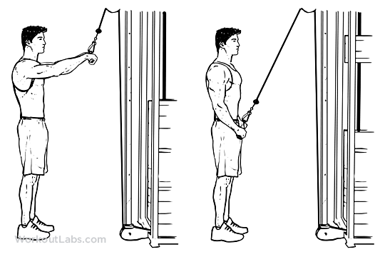 Straight Arm Pulldown 1