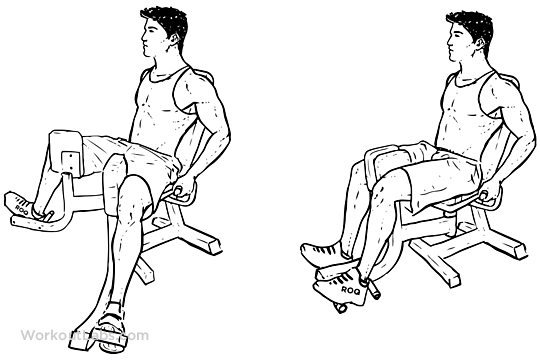 Thigh Adductor Inner Thigh Machine