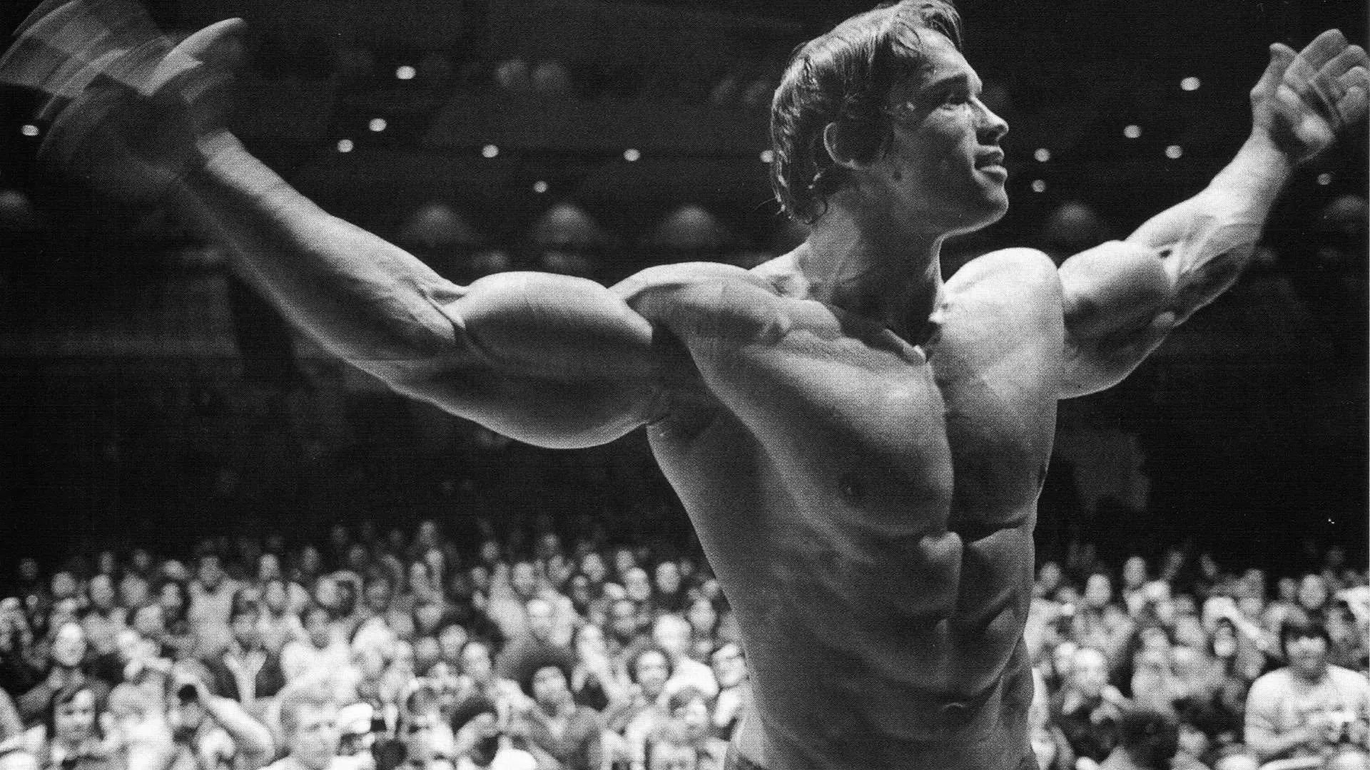 arnold schwarzenegger body hd wallpapers1