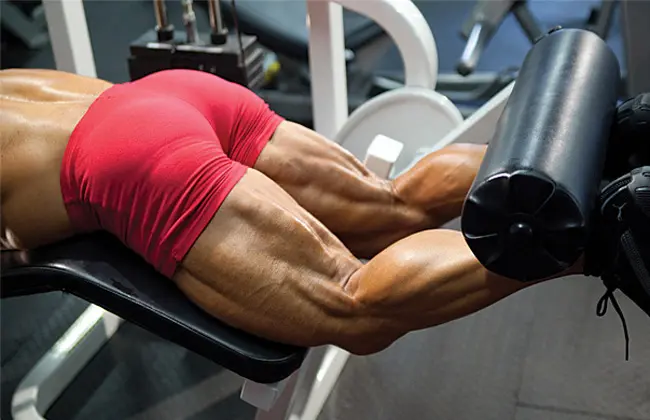 targeted muscle building hamstrings