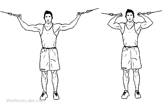 Overhead Cable Curl
