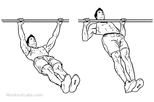 65 Inverted Row