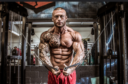 Shredded-Abs-1 همه آن چیزی که در مورد تستوسترون و افزایش سطح آن باید بدانید (بخش دوم و آخر)