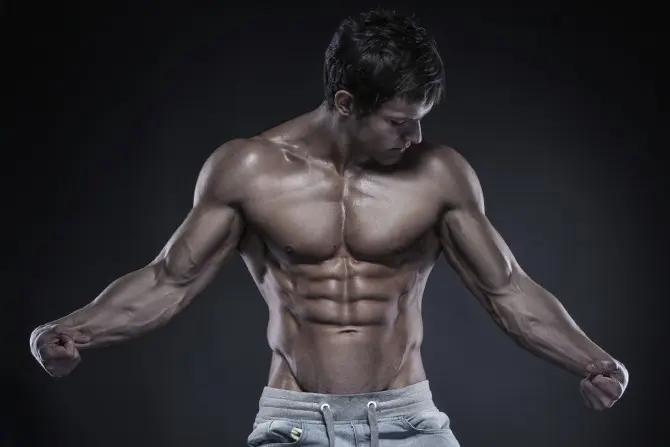 Shredded body