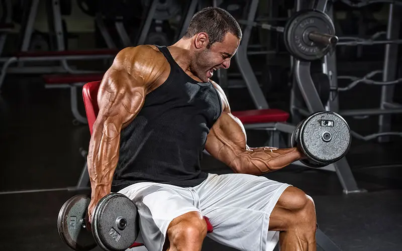 serious biceps triceps