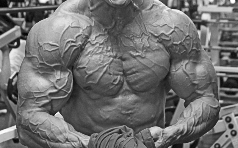 BODYBUILDERS WHOSE VEINS ARE ABOUT TO BURST