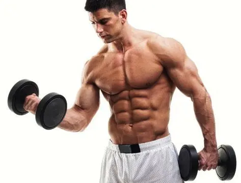 bodybuilding training program1