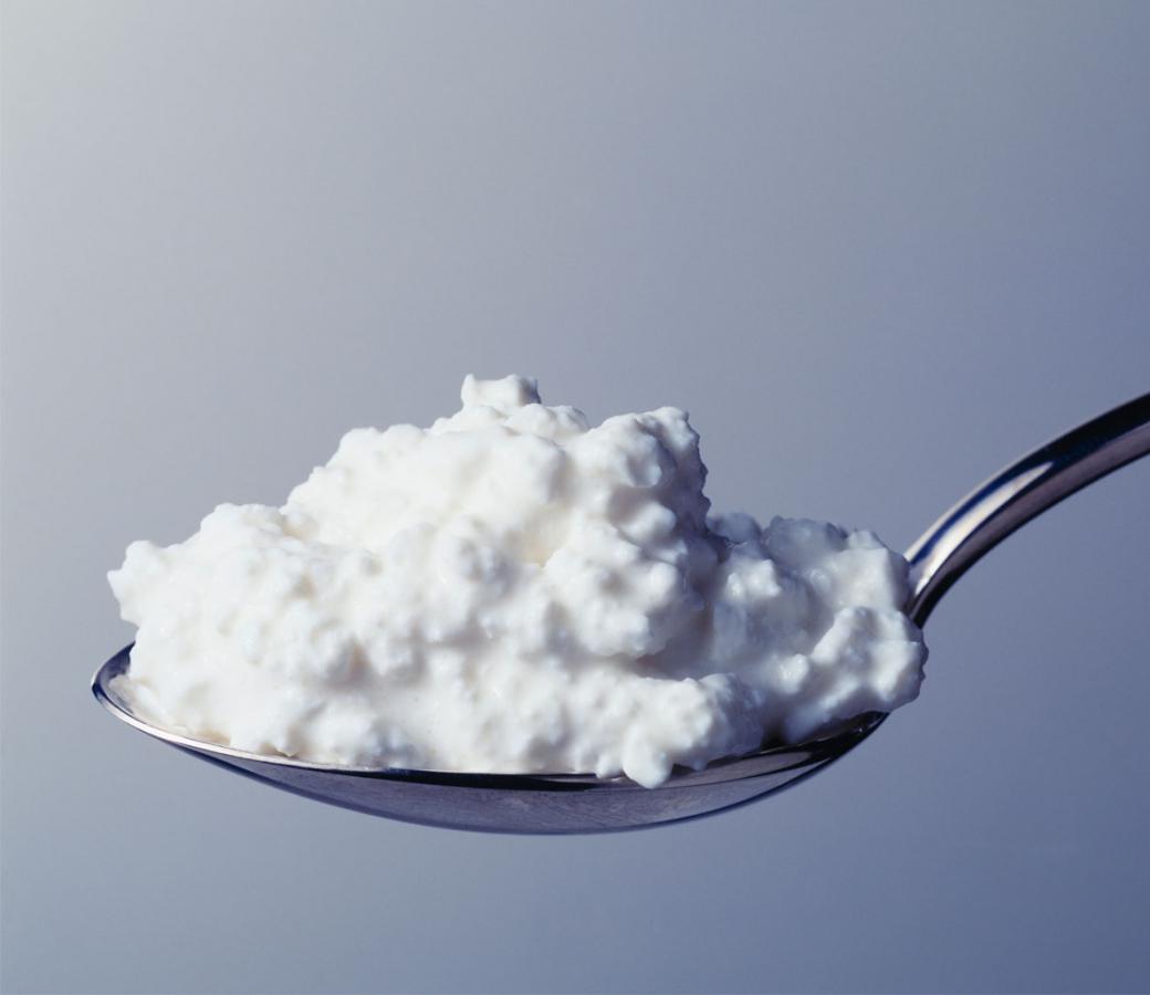muscle food cottage cheese