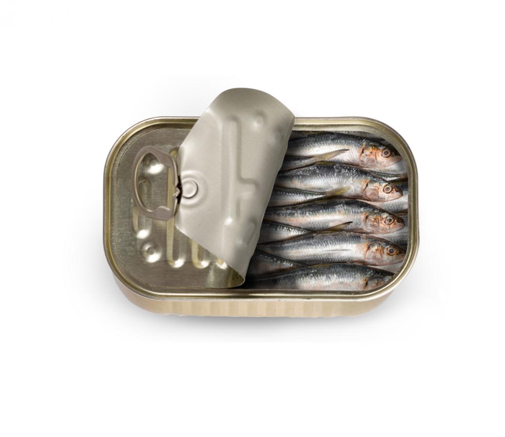 sardines main