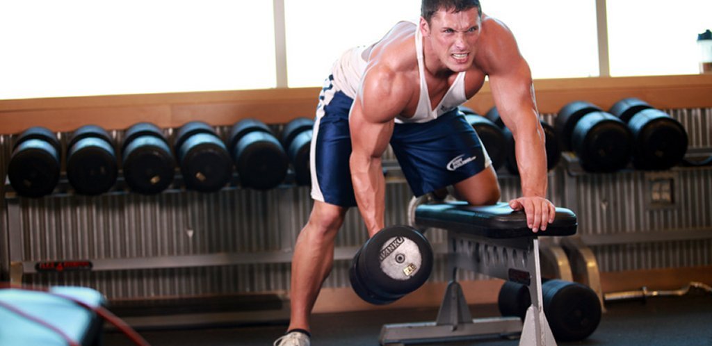 maximize muscle mass training d2
