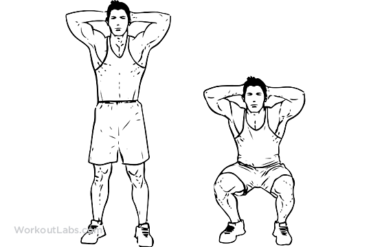 Bodyweight Squat M WorkoutLabs