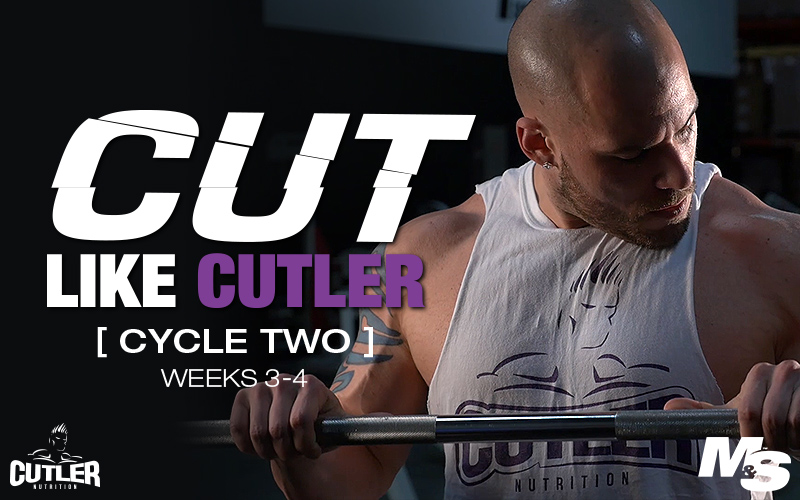 برنامه تمرینی کارامد Cut Like Cutler Trainer (هفته ۳-۴)