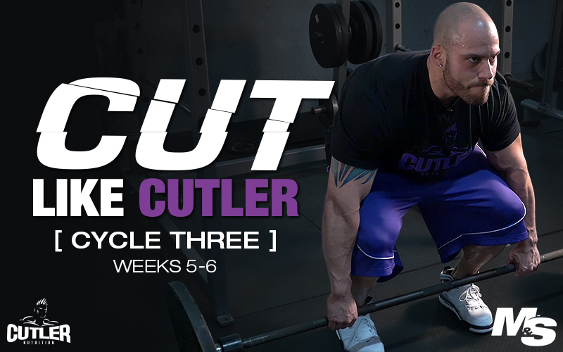 برنامه تمرینی کارامد Cut Like Cutler Trainer (هفته ۵-۶)