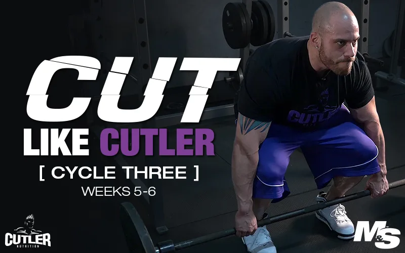 cut like cutler cycle 3