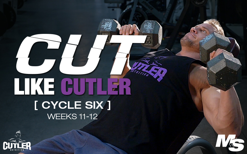 برنامه تمرینی کارامد Cut Like Cutler Trainer (هفته ۱۰-۱۲)