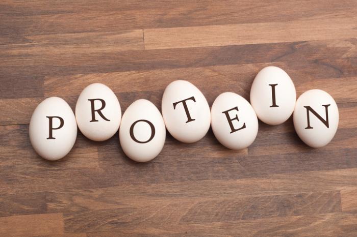 علم جذب پروتئین و مقدار پروتئین مورد نیاز در هر وعده