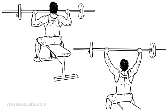 Seated Barbell Military Press M WorkoutLabs