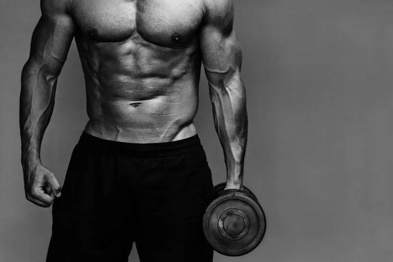 how to turn fat into muscle