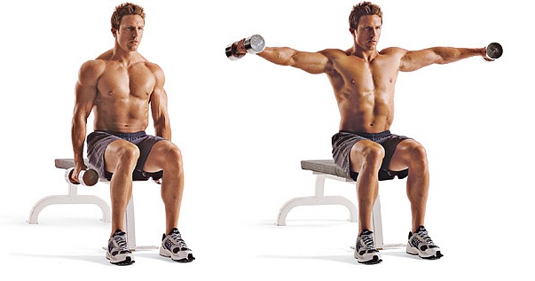 seated lateral raise 2