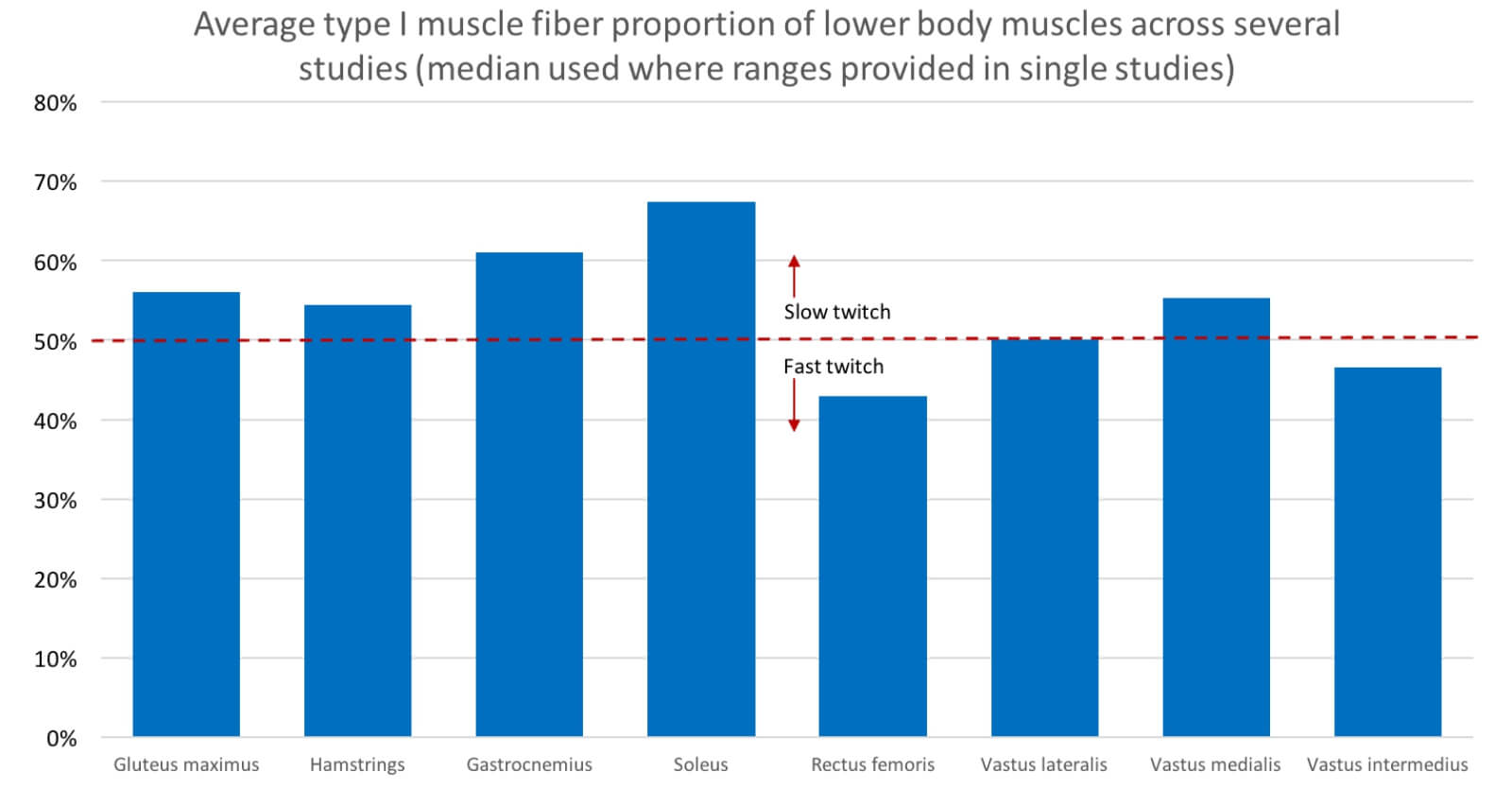 muscle fiber types lower body