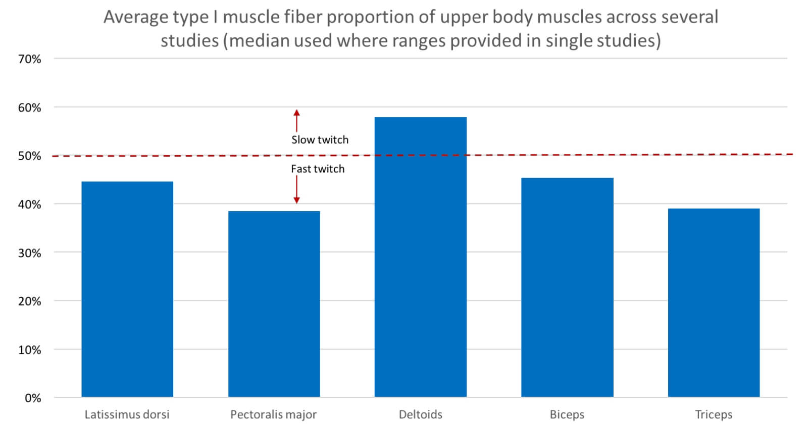 muscle fiber types upper body