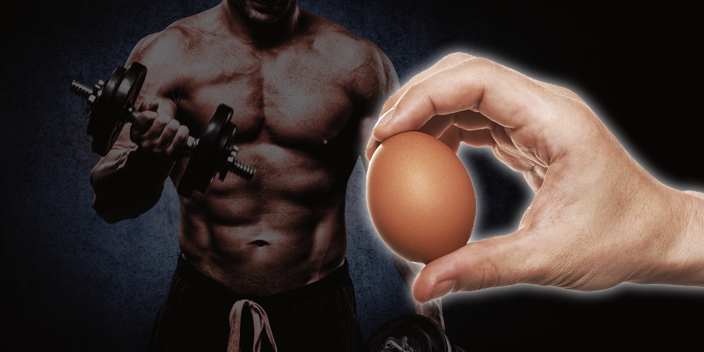 آیا تخم مرغ کامل برای عضله سازی بهتر از سفیده آن است؟