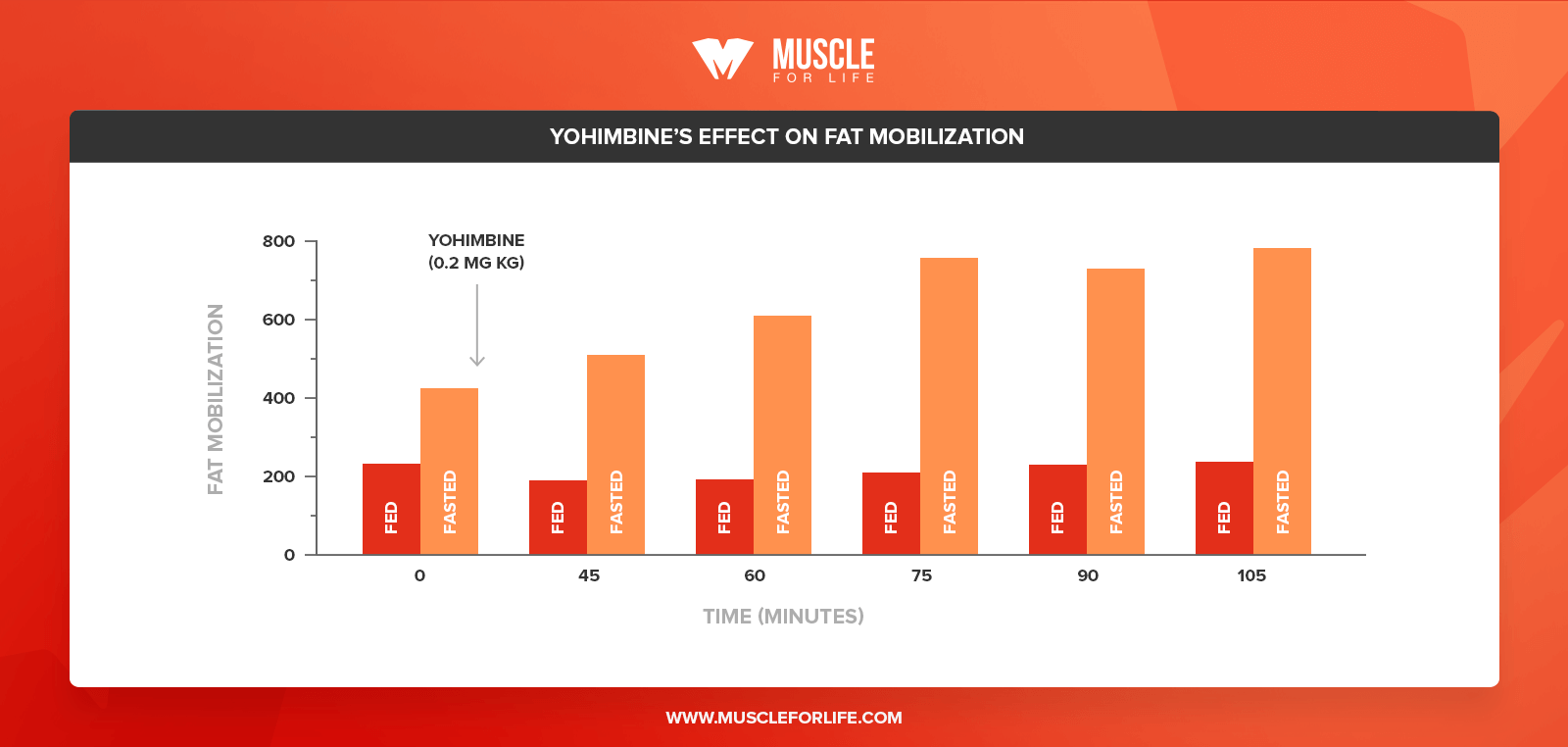 yohimbines effect on fat mobilization