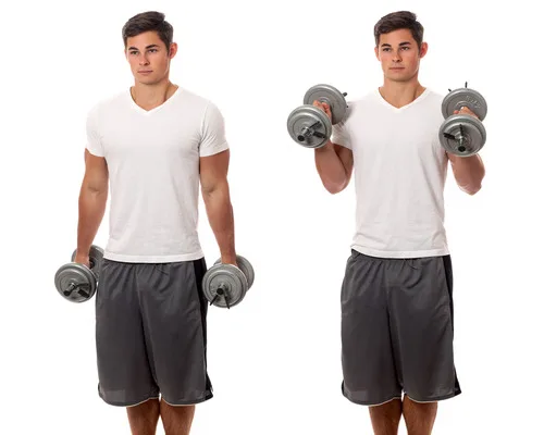 dumbbell hammer curls