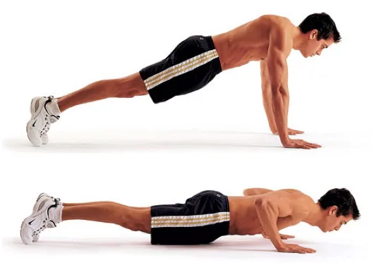 Image result for Pushups