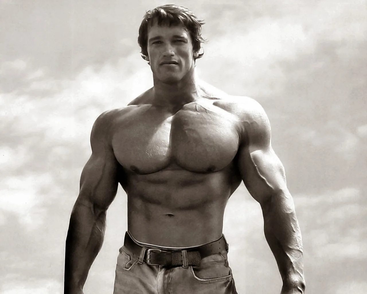 Arnold Schwarzenegger wallpaper HD 0001