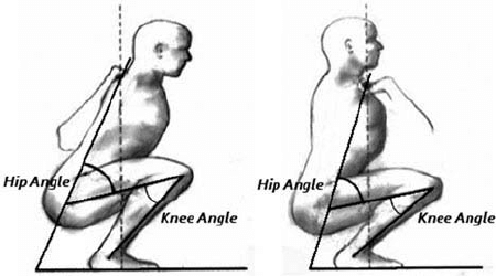 front squat muscles 