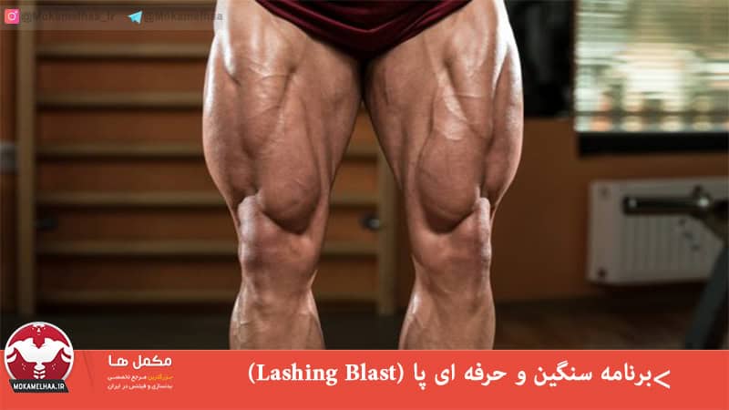 برنامه سنگین و حرفه ای پا (Lashing Blast) برنامه سنگین و حرفه ای پا (Lashing Blast)