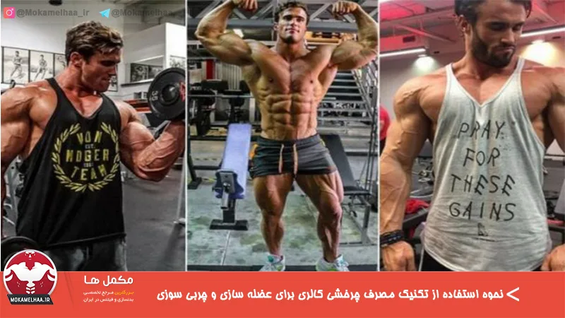 نحوه استفاده از تکنیک مصرف چرخشی کالری برای عضله سازی و چربی‌ سوزی