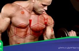 اهمیت-ویژه-استروژن-در-بدنسازی اهمیت ویژه استروژن در بدنسازی