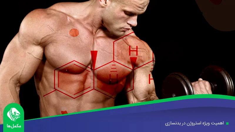 اهمیت ویژه استروژن در بدنسازی