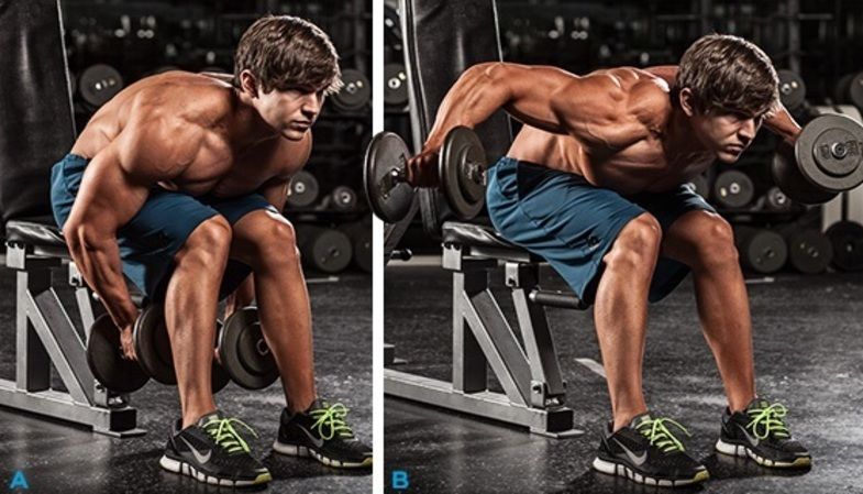 seated bent over dumbbell raise
