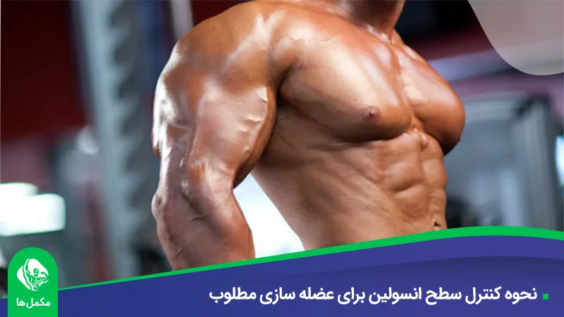 نحوه کنترل سطح انسولین برای عضله سازی مطلوب