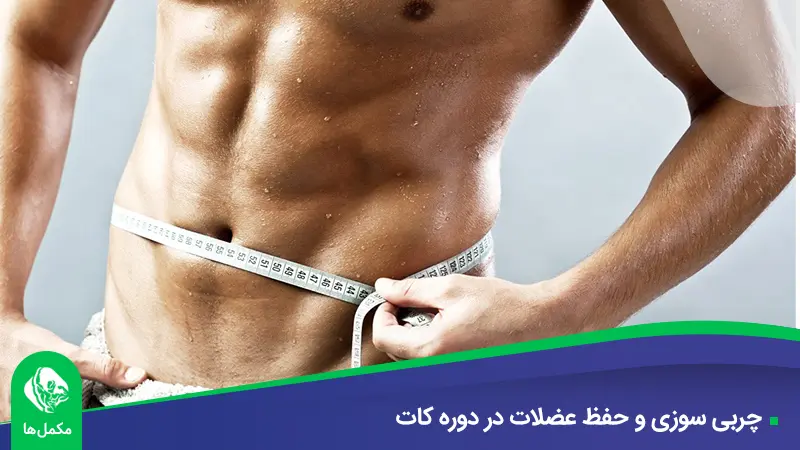 چربی‌ سوزی و حفظ عضلات در دوره کات