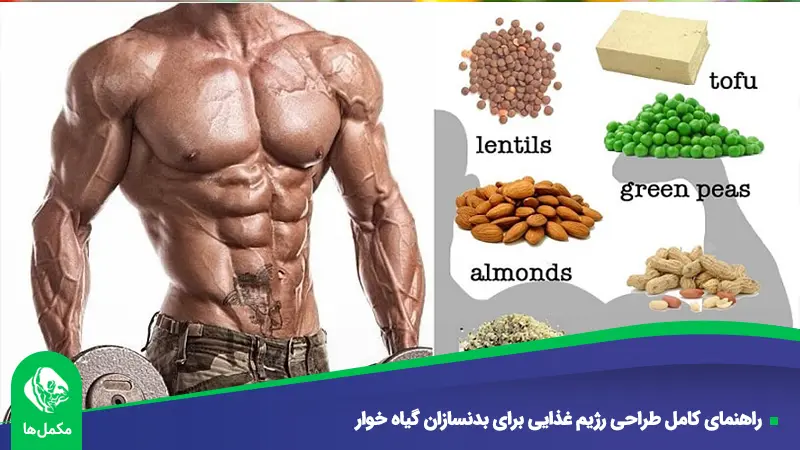 راهنمای کامل طراحی رژیم غذایی برای بدنسازان گیاه خوار