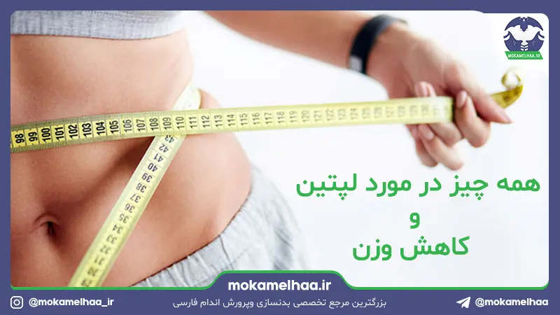 همه چیز در مورد لپتین و کاهش وزن